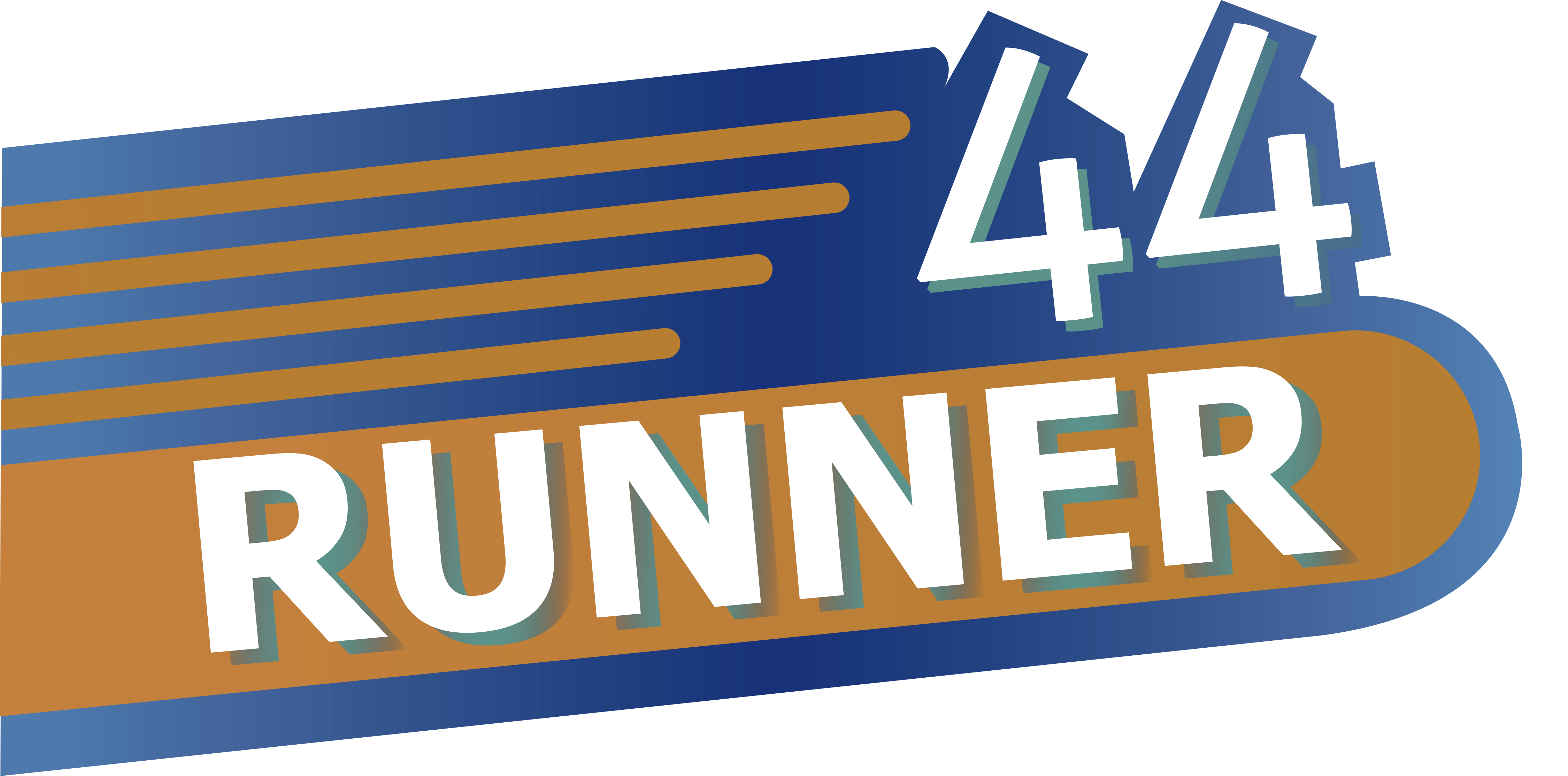 Endurance Logo